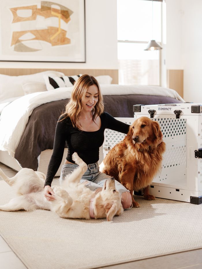 services-02 A woman in a cozy bedroom with two happy golden retrievers, enjoying natural light.