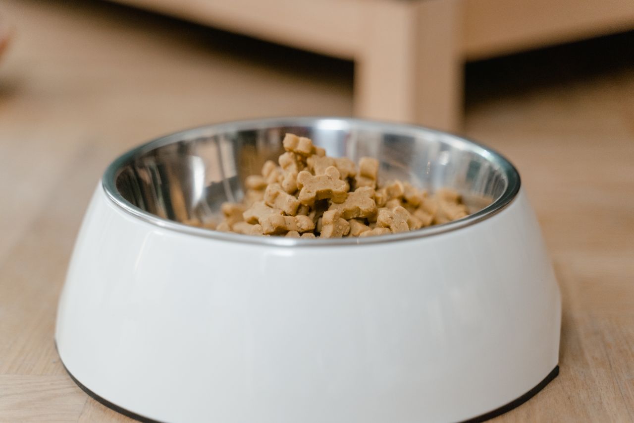 hero-img-01 A stainless steel dog bowl filled with dry dog treats on a wooden floor.